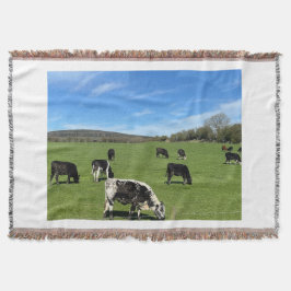 Cobertor Vacas Pretas e Brancas Espalhando no Lâmpago de Ca