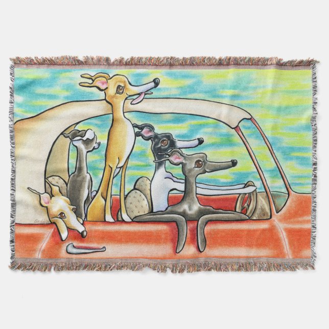 Cobertor Viagem Rodoviária (Frente)