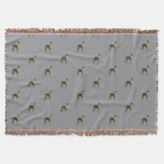 Cobertor Whippet blanket - Whippet against grey background (Frente)