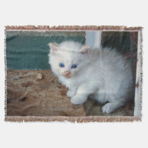 Cobertor White Kitten