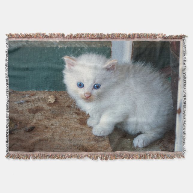 Cobertor White Kitten (Frente)