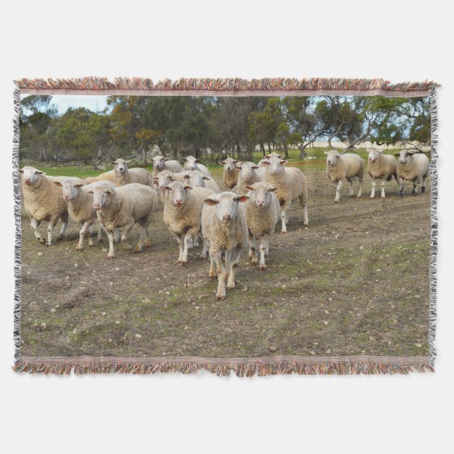 Cobertor White Young Wooly Sheep, (Frente)