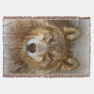 Cobertor Wolf Throw Blanket