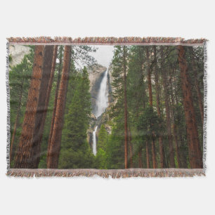 Cobertor Yosemite Falls através da Floresta