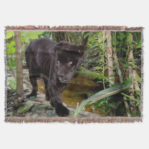Cobertor Zoológico da Cidade de Belize. Pantera negra