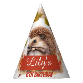 Cobertura de Vibes - Chapéu Festa de aniversário