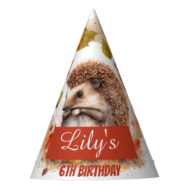 Cobertura de Vibes - Chapéu Festa de aniversário (Frente)