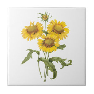 Cobertura Floral Vintage Flor de Girassol por Redo