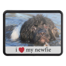 Adoro a minha Newfie Newfoundland Inserir Foto