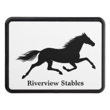 Cavalo Estábulo Equestre Branco e Preto