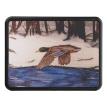 Mallard Duck em uma missão