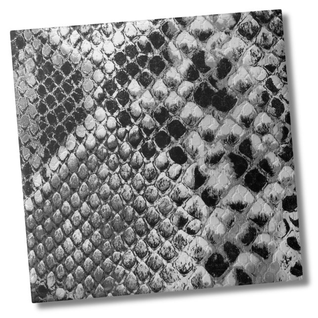 Cobra branco preto (Black White Reptile Animal Snake Skin Pattern Ceramic Tile)