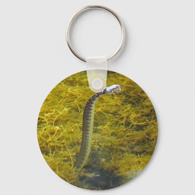 Cobra chaveiro (Frente)