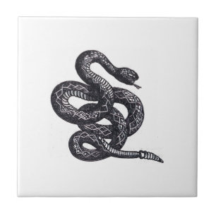 Cobra Crotalus Cascavella (Víbora Pitão Venenosa)