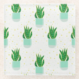 Cobra de planta de Sansevieria Potted