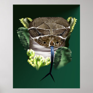 Cobra de Poster