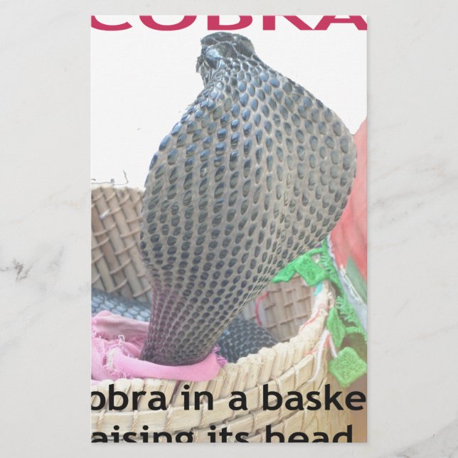 Cobra em uma cesta pronta para cuspir fogo (Frente)