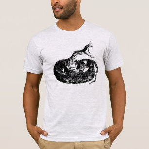 Cobra, homens da cobra pretos e camisa cinzenta