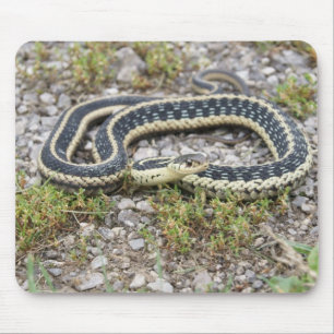 Cobra Mousepad