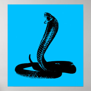 Cobra - poster preto