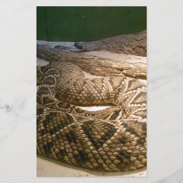 Cobra Rattle (Frente)