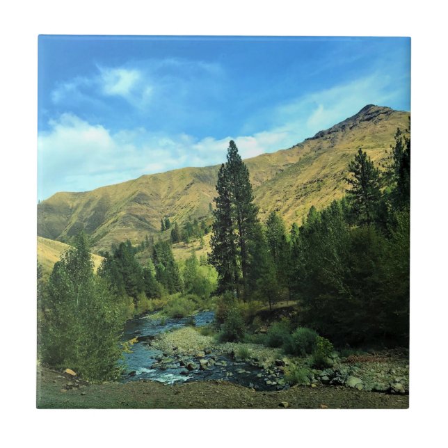 Cobra River, Wallowa County, Oregon (Frente)