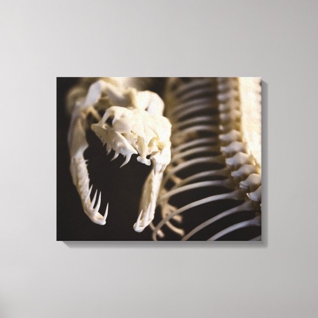 Cobra skeleton art - canvas (Frente)