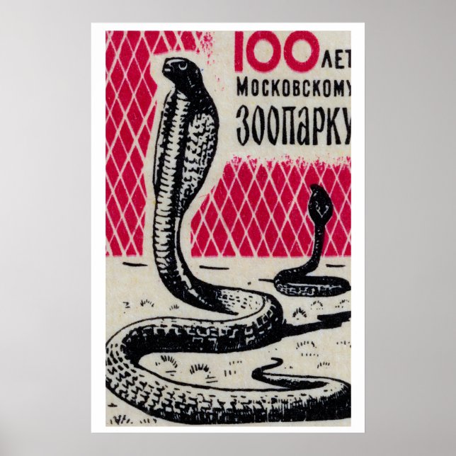 Cobras - Impressão de Caixa de Fósforos - Arte Che (Frente)