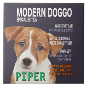 Cobrir da Revista Jack Russell Terrier Parody