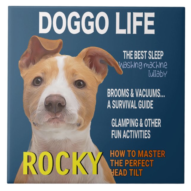 Cobrir da Revista Pitbull Parody (Frente)