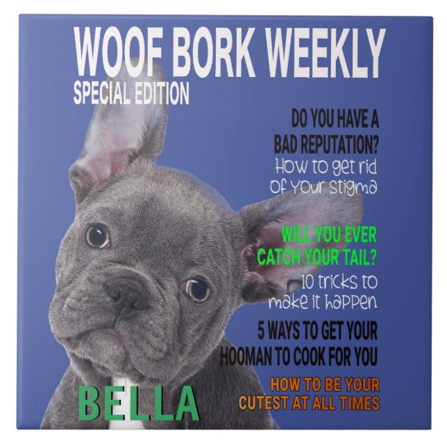 Cobrir da Revista Terrier Parody de Boston (Frente)