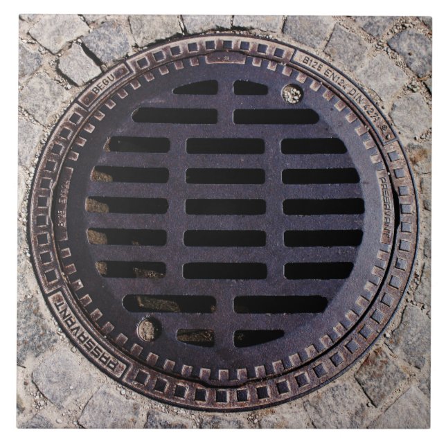 Cobrir de câmara de visita e azulejo da estrada do (Frente)