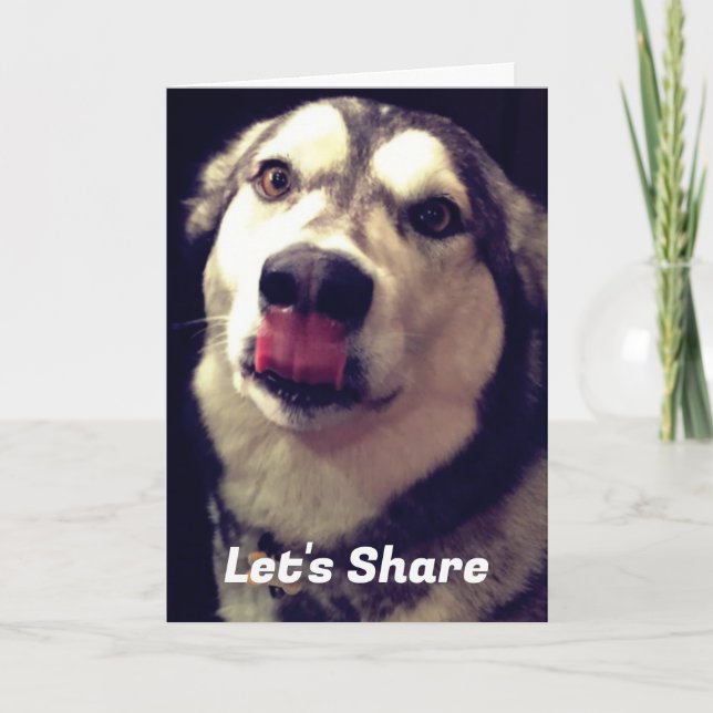 Cobrir de Fotografia do Modelo Malamute do Alaska  (Frente)