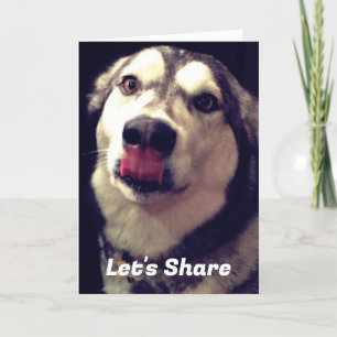 Cobrir de Fotografia do Modelo Malamute do Alaska 