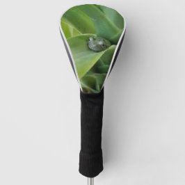 Cobrir do Clube de Golf sapo