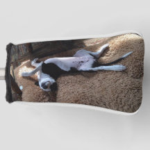 cobrir do clube de golfe