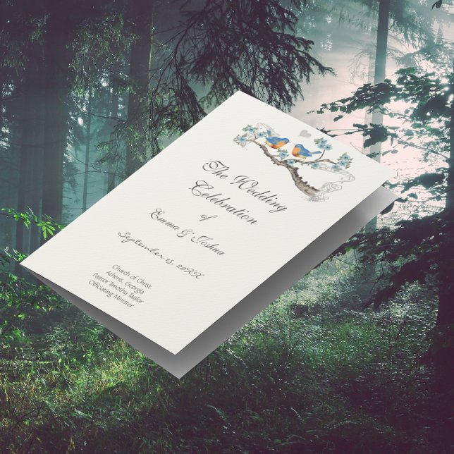 Cobrir do Programa Vintage Bluebird (Criador carregado)