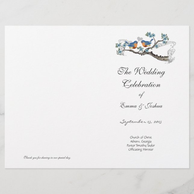 Cobrir do Programa Vintage Bluebird (Frente)