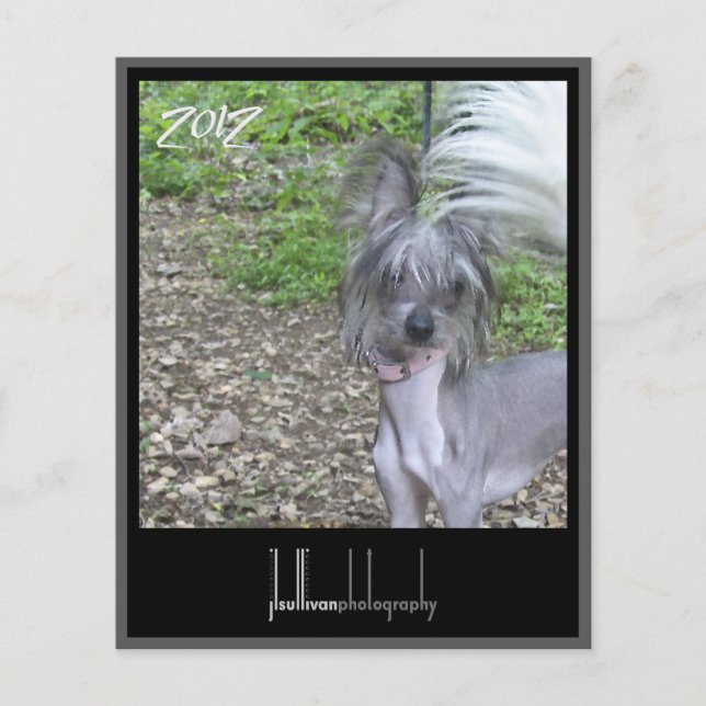 cobrir frontal do calendário 2012 (Frente)