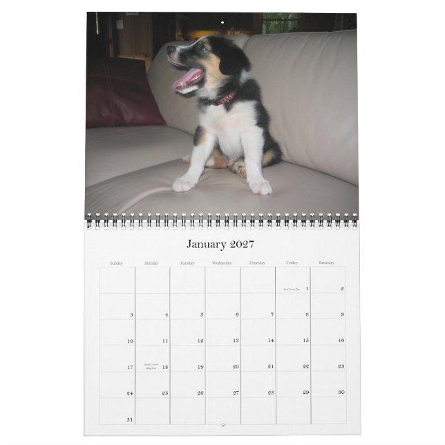 Cobrir, o calendário Jack Jack Jack 2007, Corley e (Jan 2027)