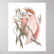 Coca-cola rosa-branca praias vintage poster