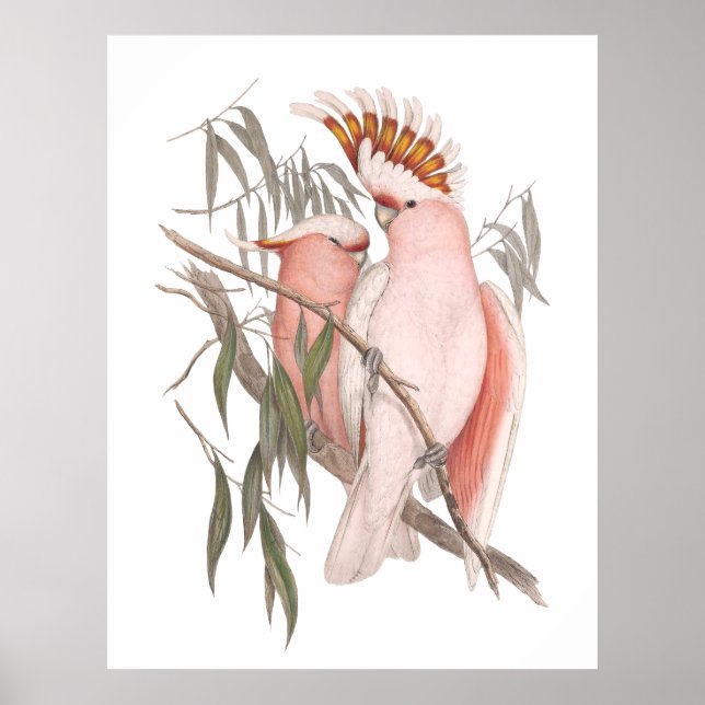 Coca-cola rosa-branca praias vintage poster (Frente)