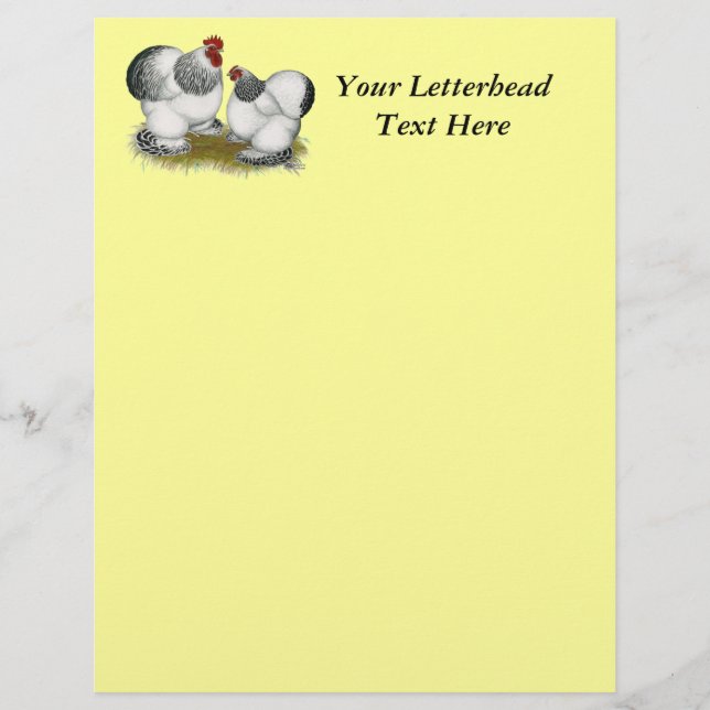 Cochins:  Bantams Columbianas (Frente)