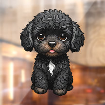 Cockapoo Preto