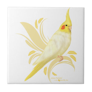 Cockatiel de Lutino