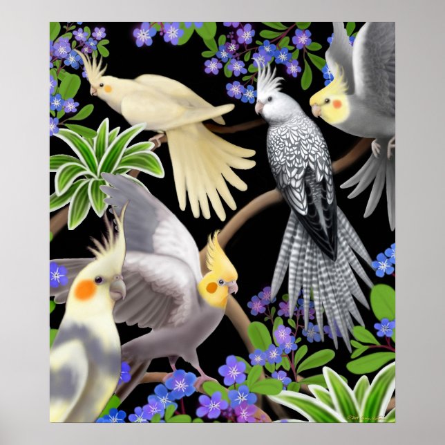 Cockatiels and Forget Me Nots Poster (Frente)