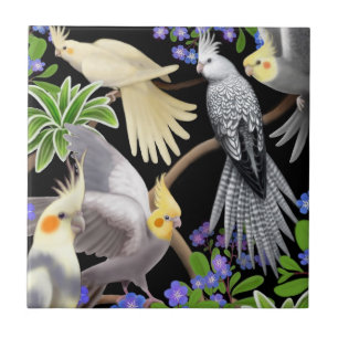 Cockatiels no azulejo dos miosótis