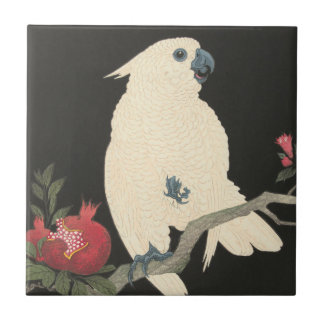 Cockatoo branco japonês das belas artes | do