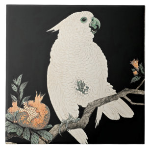Cockatoo e Pomegranato, belas artes de Ohara Koson