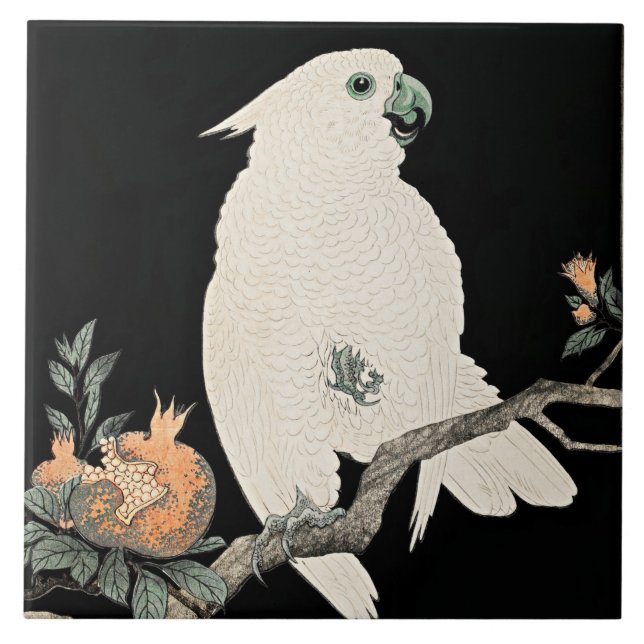 Cockatoo e Pomegranato, belas artes de Ohara Koson (Frente)